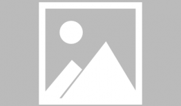 明星的电视剧,明星主演的电视剧魅力之旅